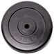 Диск домашний черный Alex RCP10 - 1,25 кг  Изображение 3 из 3