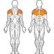 Тренажер для мышцы груди и задних дельт Fit Way Factory А 101 (комбинированный)  Изображение 4 из 4